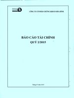 Báo cáo tài chính quý 2 năm 2015 - Công ty Cổ phần Chứng khoán Hòa Bình