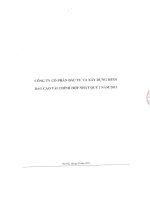 Báo cáo tài chính hợp nhất quý 1 năm 2013 - Công ty Cổ phần Đầu tư và Xây dựng HUD1