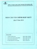 Báo cáo tài chính hợp nhất quý 1 năm 2014 - Công ty cổ phần Thương mại và Khai thác Khoáng sản Dương Hiếu