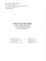 Báo cáo tài chính hợp nhất quý 1 năm 2013 - Công ty Cổ phần Tập đoàn Hoa Sen