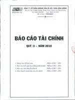 Báo cáo tài chính quý 2 năm 2010 - Công ty Cổ phần Khoáng sản và Xây dựng Bình Dương