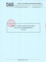 Báo cáo tài chính hợp nhất quý 1 năm 2012 - Công ty Cổ phần Tập đoàn Nhựa Đông Á
