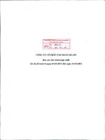 Báo cáo tài chính hợp nhất quý 1 năm 2011 - Công ty Cổ phần Tập đoàn Hà Đô