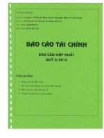 Báo cáo tài chính hợp nhất quý 3 năm 2013 - Công ty Cổ phần Đầu tư Phát triển Công nghệ Điện tử Viễn thông