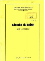 Báo cáo tài chính quý 3 năm 2015 - Công ty Cổ phần Viglacera Hạ Long I
