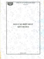 Báo cáo tài chính hợp nhất quý 3 năm 2014 - Công ty cổ phần Tập đoàn Hòa Phát