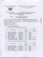 Báo cáo tình hình quản trị công ty - Công ty Cổ phần Đầu tư và Phát triển Đa Quốc Gia I.D.I