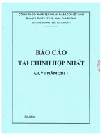 Báo cáo tài chính hợp nhất quý 1 năm 2011 - Công ty Cổ phần Tập đoàn Dabaco Việt Nam