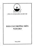 Báo cáo thường niên năm 2013 - Công ty Cổ phần Đông Hải Bến Tre