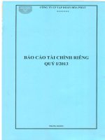 Báo cáo tài chính công ty mẹ quý 1 năm 2013 - Công ty cổ phần Tập đoàn Hòa Phát