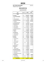 Báo cáo tài chính hợp nhất quý 3 năm 2008 - Công ty Cổ phần Xây dựng Công nghiệp DESCON