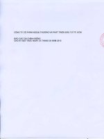 Báo cáo tài chính công ty mẹ quý 1 năm 2013 - Công ty Cổ phần Ngoại thương và Phát triển Đầu tư Thành phố Hồ Chí Minh