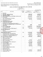 Báo cáo tài chính hợp nhất quý 1 năm 2015 - Ngân hàng Thương mại Cổ phần Xuất nhập khẩu Việt Nam