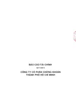 Báo cáo tài chính quý 2 năm 2013 - Công ty Cổ phần Chứng khoán Thành phố Hồ Chí Minh