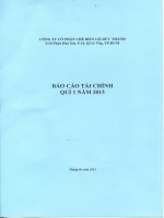 Báo cáo tài chính quý 1 năm 2013 - Công ty Cổ phần Chế biến Gỗ Đức Thành