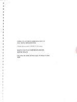 Báo cáo tài chính năm 2008 (đã kiểm toán) - Công ty Cổ phần Khoáng sản và Xây dựng Bình Dương