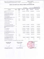 Báo cáo KQKD quý 4 năm 2012 - Công ty Cổ phần Đầu tư Thương mại Bất động sản An Dương Thảo Điền