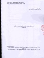 Báo cáo tài chính năm 2010 (đã kiểm toán) - Công ty Cổ phần Chứng khoán FPT