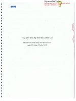 Báo cáo tài chính công ty mẹ năm 2012 (đã kiểm toán) - Công ty Cổ phần Tập đoàn Dabaco Việt Nam
