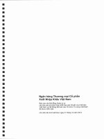 Báo cáo tài chính hợp nhất năm 2010 (đã kiểm toán) - Ngân hàng Thương mại Cổ phần Xuất nhập khẩu Việt Nam