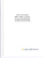 Báo cáo tài chính hợp nhất năm 2007 (đã kiểm toán) - Công ty Cổ phần Hữu Liên Á Châu