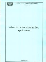 Báo cáo tài chính công ty mẹ quý 2 năm 2013 - Công ty cổ phần Tập đoàn Hòa Phát