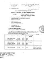 Báo cáo tình hình quản trị công ty - Công ty Cổ phần Tập đoàn HIPT