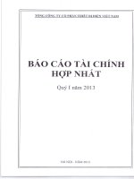Báo cáo tài chính hợp nhất quý 1 năm 2013 - Tổng Công ty cổ phần Thiết bị điện Việt Nam