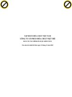 Báo cáo tài chính năm 2010 (đã kiểm toán) - Công ty Cổ phần Hóa chất Việt Trì