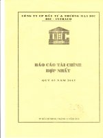 Báo cáo tài chính hợp nhất quý 3 năm 2015 - Công ty Cổ phần Đầu tư và Thương mại DIC
