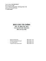 Báo cáo tài chính hợp nhất quý 3 năm 2012 - Công ty Cổ phần Tập đoàn Hoa Sen