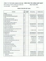 Báo cáo tài chính hợp nhất quý 2 năm 2012 - Công ty Cổ phần Tập đoàn Dabaco Việt Nam