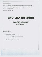 Báo cáo tài chính hợp nhất quý 1 năm 2015 - Công ty Cổ phần Đầu tư Phát triển Công nghệ Điện tử Viễn thông