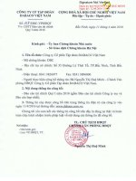 Báo cáo tài chính hợp nhất quý 1 năm 2016 - Công ty Cổ phần Tập đoàn Dabaco Việt Nam