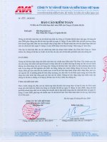 Báo cáo tài chính năm 2008 (đã kiểm toán) - Công ty Cổ phần Tập đoàn Hà Đô