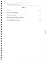 Báo cáo tài chính công ty mẹ quý 2 năm 2010 (đã soát xét) - Công ty Cổ phần Khoáng sản và Xây dựng Bình Dương