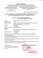 Báo cáo tài chính hợp nhất năm 2015 (đã kiểm toán) - Công ty Cổ phần Vận tải và Xếp dỡ Hải An