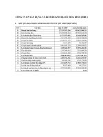 Báo cáo tài chính quý 4 năm 2007 - Công ty cổ phần Xây dựng và Kinh doanh Địa ốc Hoà Bình