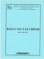 Báo cáo tài chính quý 3 năm 2013 -  Công ty Cổ phần Thủy điện Gia Lai