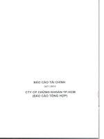 Báo cáo tài chính quý 1 năm 2010 - Công ty Cổ phần Chứng khoán Thành phố Hồ Chí Minh