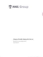 Báo cáo tài chính hợp nhất quý 2 năm 2015 - Công ty Cổ phần Hoàng Anh Gia Lai