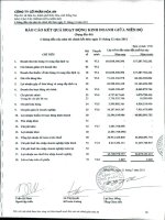 Báo cáo KQKD hợp nhất quý 2 năm 2011 (đã soát xét) - Công ty Cổ phần Hóa An