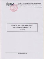 Báo cáo tài chính công ty mẹ quý 3 năm 2010 - Công ty Cổ phần Tập đoàn Nhựa Đông Á