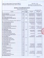 Báo cáo tài chính quý 2 năm 2015 - Công ty TNHH MTV Chứng khoán Ngân hàng Đông Á