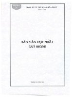 Báo cáo tài chính hợp nhất quý 3 năm 2011 - Công ty cổ phần Tập đoàn Hòa Phát