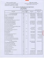 Báo cáo tài chính hợp nhất quý 2 năm 2015 - Công ty Cổ phần Tasco