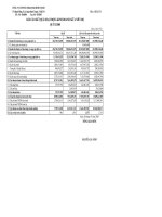 Báo cáo tài chính quý 2 năm 2008 - Công ty Cổ phần Sản xuất Kinh doanh Xuất nhập khẩu Bình Thạnh