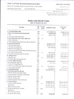 Báo cáo tài chính quý 2 năm 2013 - Công ty Cổ phần Đầu tư và Phát triển KSH