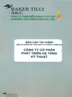Báo cáo tài chính công ty mẹ năm 2012 (đã kiểm toán) - Công ty Cổ phần Phát triển Hạ tầng Kỹ thuật