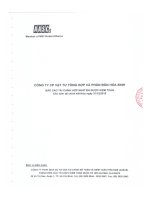 Báo cáo tài chính hợp nhất năm 2015 (đã kiểm toán) - Công ty Cổ phần Vật tư tổng hợp và Phân bón Hóa sinh